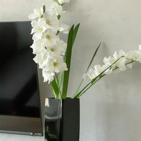 Stylowe Apartamenty W Centrum Gdyni I Blisko Plazy By Noclegi Renters Gdynia Zewnętrze zdjęcie